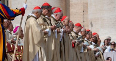 Who will be the next pope? Here’s a list of some possible candidates to succeed Pope Francis.
