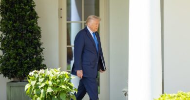 Trump says “I don’t know, I’m not a lawyer” when asked if everyone is entitled to due process