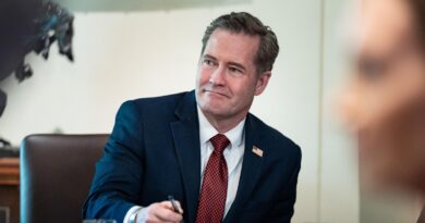 Mike Waltz offered other roles before accepting U.N. ambassador post, sources say