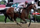 Journalism wins the 150th running of the Preakness Stakes