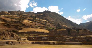 Study sheds new light on exclusive hallucinogenic drug rituals in ancient Peru