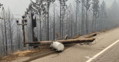 Power shutoff initiative creating ‘wave of fear,’ says Princeton, B.C. mayor – Okanagan
