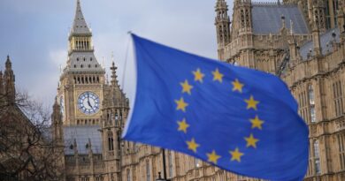 UK and EU agree ‘Brexit reset’ trade deal | Politics News
