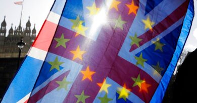 Post-Brexit EU reset negotiations ‘going to the wire’, says minister | Politics News