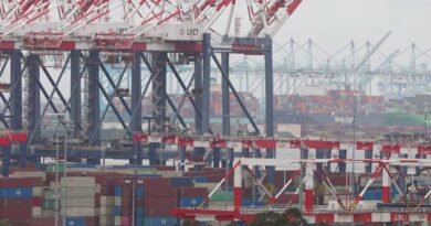 Trump’s tariffs hit the West’s busiest port – with traffic down by nearly a third | US News