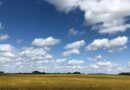 2 MPPs have proposed an Ontario foodbelt. Could it help tariff-proof the ag sector?