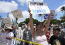 Anti-Trump protesters turn out to rallies in New York, Washington and other cities across country