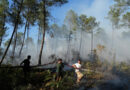 Firefighters in France hold back vast wildfire as heat returns to test their grip