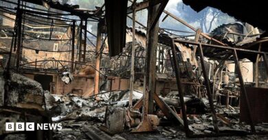 ‘It’s a hell of a situation’: Spain grapples with major wildfires