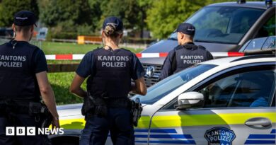Man arrested after Swiss rave shooting that killed 22-year-old woman