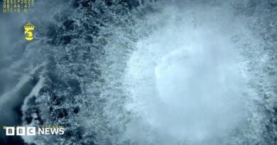 Ukrainian man arrested in Croatia over Nord Stream blasts