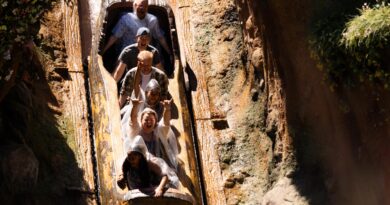 Disneyland warns not to stand up on its log-flume ride or risk getting booted from the park