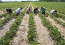 Without migration, eastern Germany to lose many workers