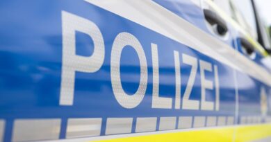Seven injured in violent clash in northern Germany