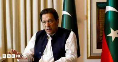Pakistan ex-PM Imran Khan back in jail after hospital examination