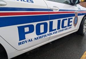 Small sea plane crashes in woods near St. John's, N.L., injuring both men on board