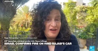 Investigation into killing of Hind Rajab and Gaza paramedics comes ‘extremely late’
