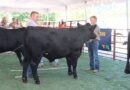 Harrison County 4-H and FFA Members to Showcase Livestock Projects August 21-22