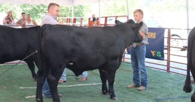 Harrison County 4-H and FFA Members to Showcase Livestock Projects August 21-22