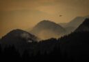 Last evacuation order lifted for Ainslie Creek wildfire in B.C.