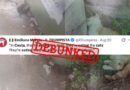 'In Ceuta, they are eating the cats': Fake images and a persistent rumour