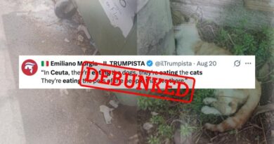'In Ceuta, they are eating the cats': Fake images and a persistent rumour