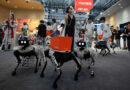 From robot dogs to helpers, China puts robotics ambitions on display at world conference