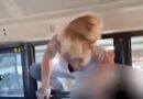 Mom arrested for vandalism after breaking bus window to pull out child