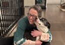 Indiana police say a dog may have been used to conceal a murder weapon, but are they wrong?
