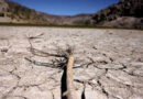 COP17: New global architecture for drought resilience launched at UNCCD meet | India News