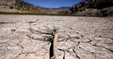 COP17: New global architecture for drought resilience launched at UNCCD meet | India News