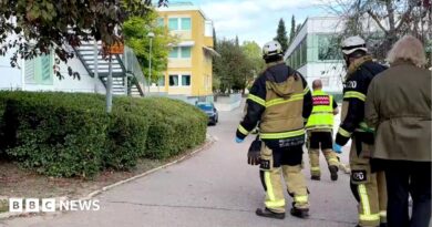 Several injured after sword attack at Swedish school