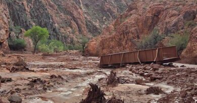 Grand Canyon flash floods leave more than 20 missing as dozens are evacuated, park officials say
