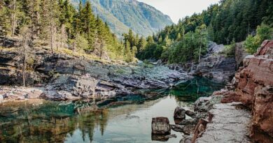 Glacier National Park visitor survives shocking cliff fall with bystander’s help