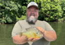 Record-Shattering Pumpkinseed Sunfish Caught in West Virginia