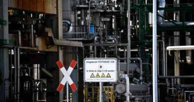 Germany investigates suspected power substation sabotage, Russia summons German envoy