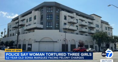 Woman faces torture, child abuse charges involving 3 girls, allegedly locking them in dog cage at Lincoln Heights apartment: LAPD