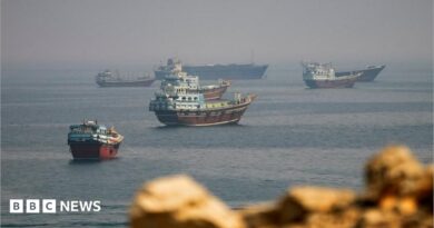 Iran retaliates after US strikes kill four at wedding party, state media reports
