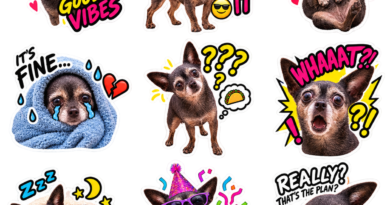 I thought ChatGPT’s new Stickers feature sounded like peak AI slop — then I made a pack I actually wanted to use