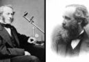 Wilczek’s Multiverse | Cats and mind-full mechanics: what happens when quantum physics meets the brain