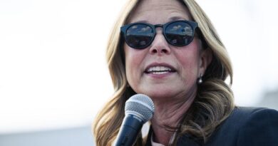 Armed man arrested after allegedly charging toward Democratic Ohio governor candidate Amy Acton at fair