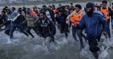Home Office whistleblower exposes ‘massive fraud’ as he claims just ONE PER CENT of asylum seekers are genuine